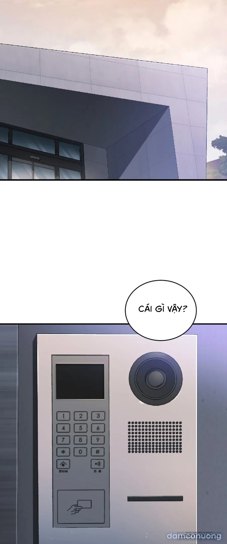 Chó Hoang Mơ Giấc Mơ Săn Mồi 