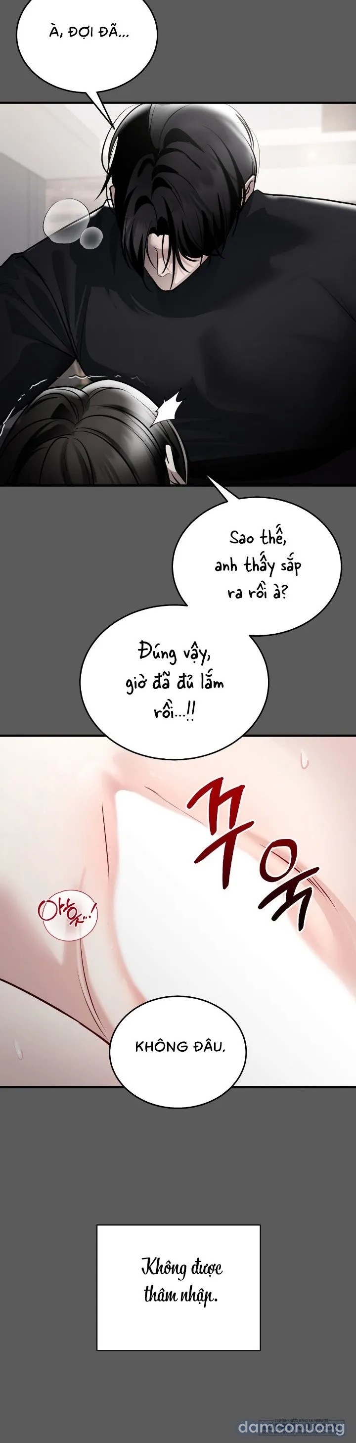 Chó Hoang Mơ Giấc Mơ Săn Mồi 