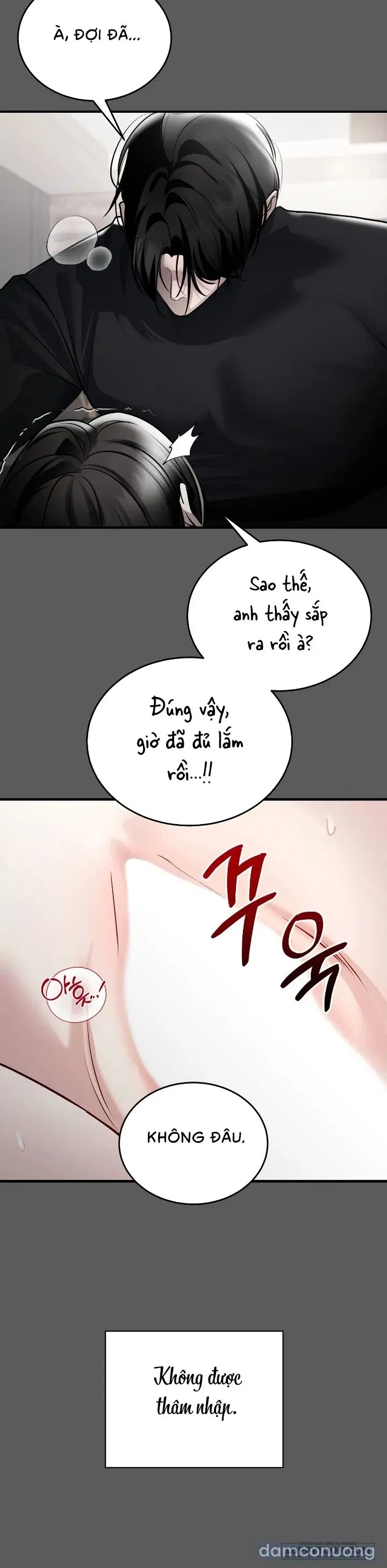 Chó Hoang Mơ Giấc Mơ Săn Mồi 