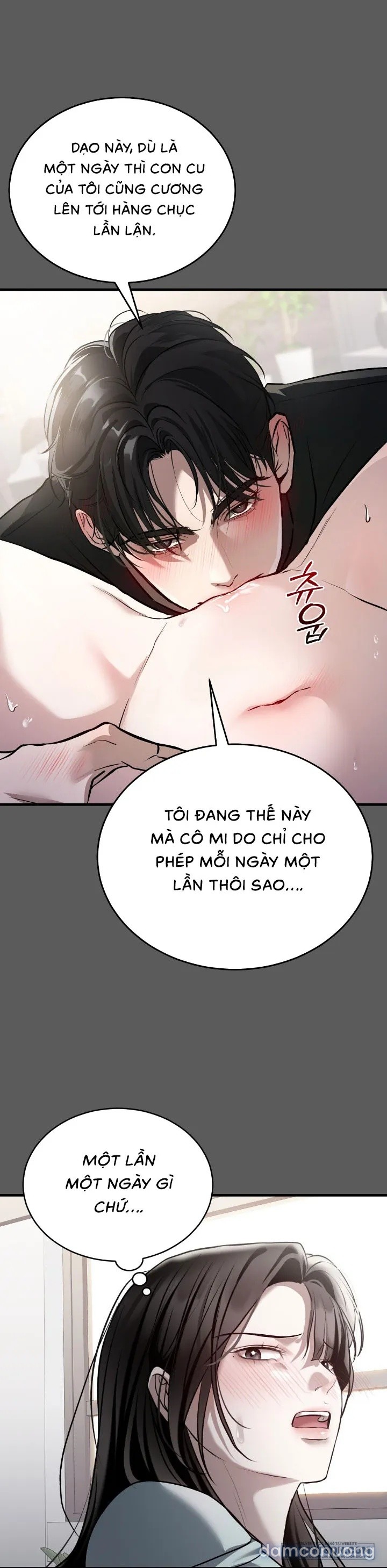 Chó Hoang Mơ Giấc Mơ Săn Mồi 