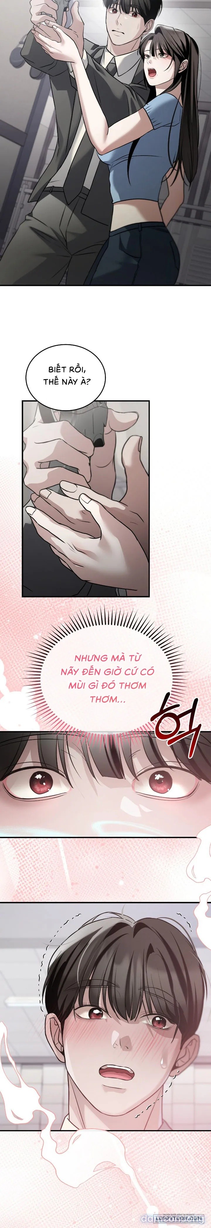 Chó Hoang Mơ Giấc Mơ Săn Mồi 