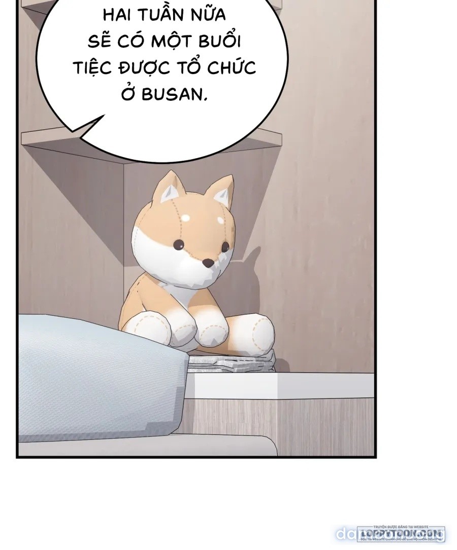 Chó Hoang Mơ Giấc Mơ Săn Mồi 