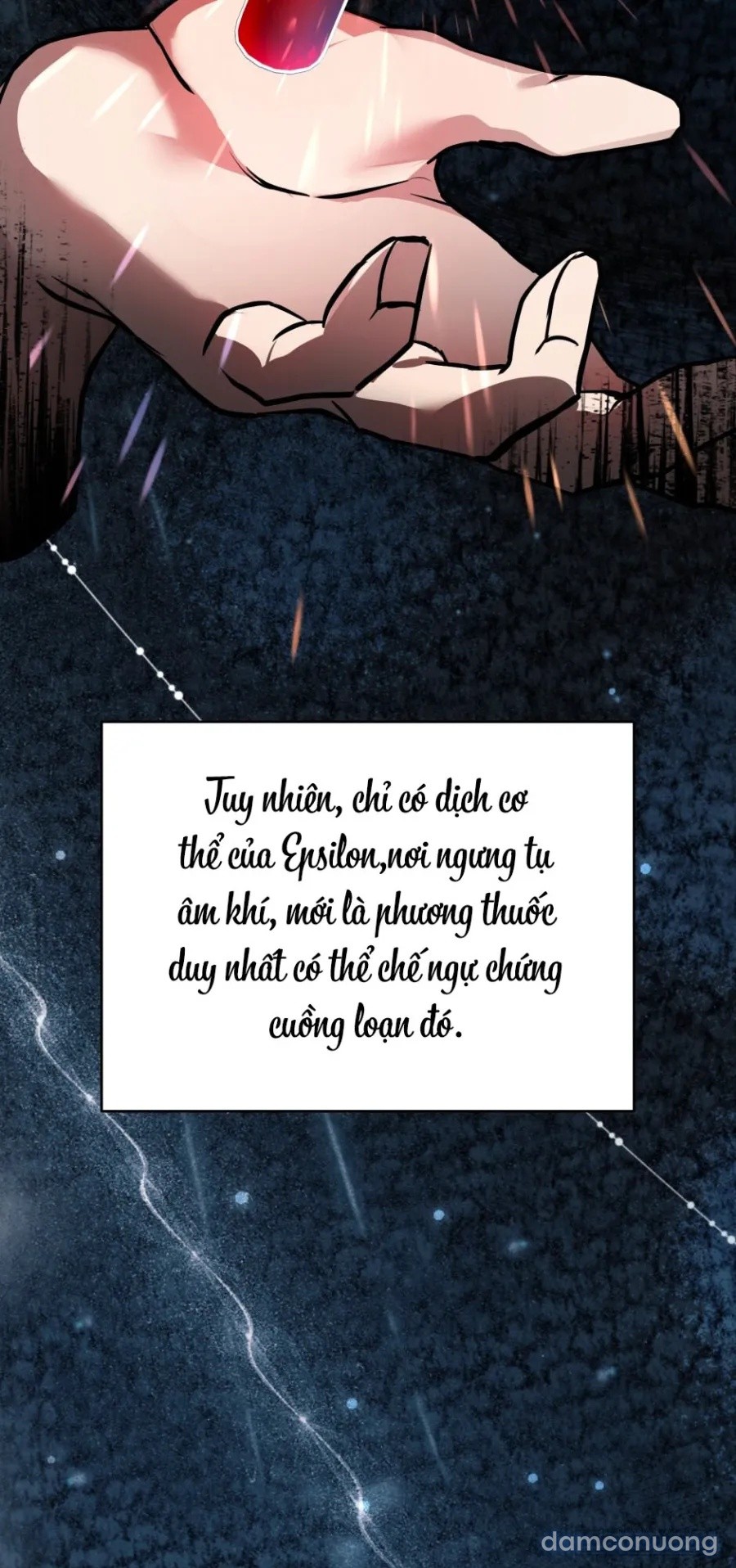 Chó Hoang Mơ Giấc Mơ Săn Mồi 