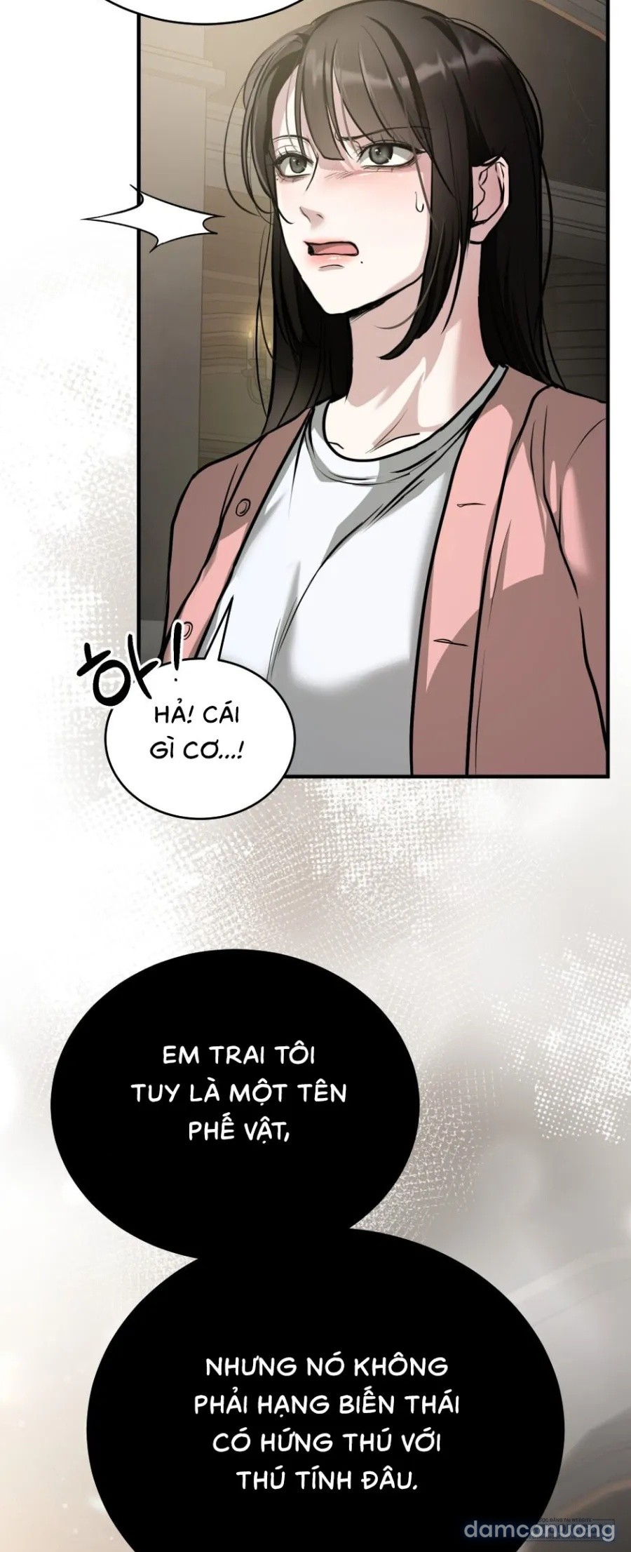Chó Hoang Mơ Giấc Mơ Săn Mồi 