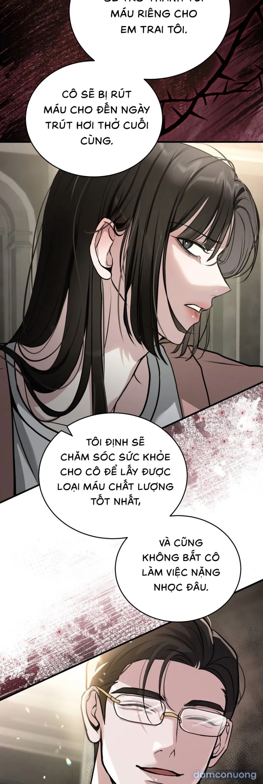 Chó Hoang Mơ Giấc Mơ Săn Mồi 