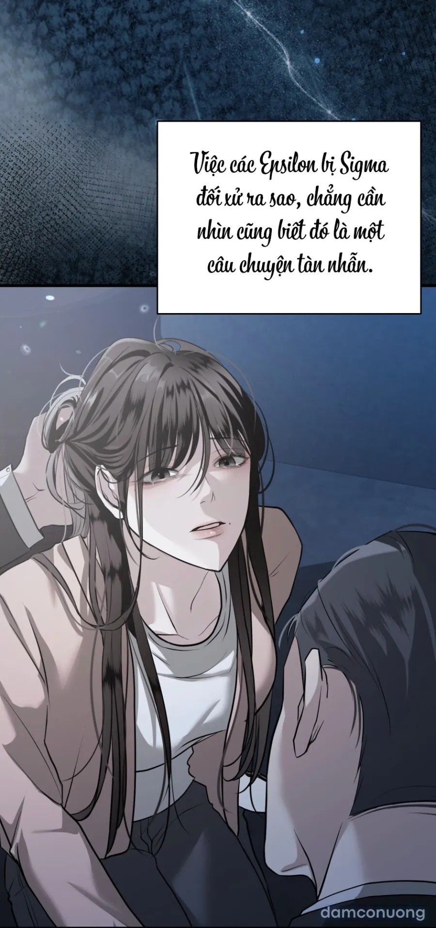 Chó Hoang Mơ Giấc Mơ Săn Mồi 