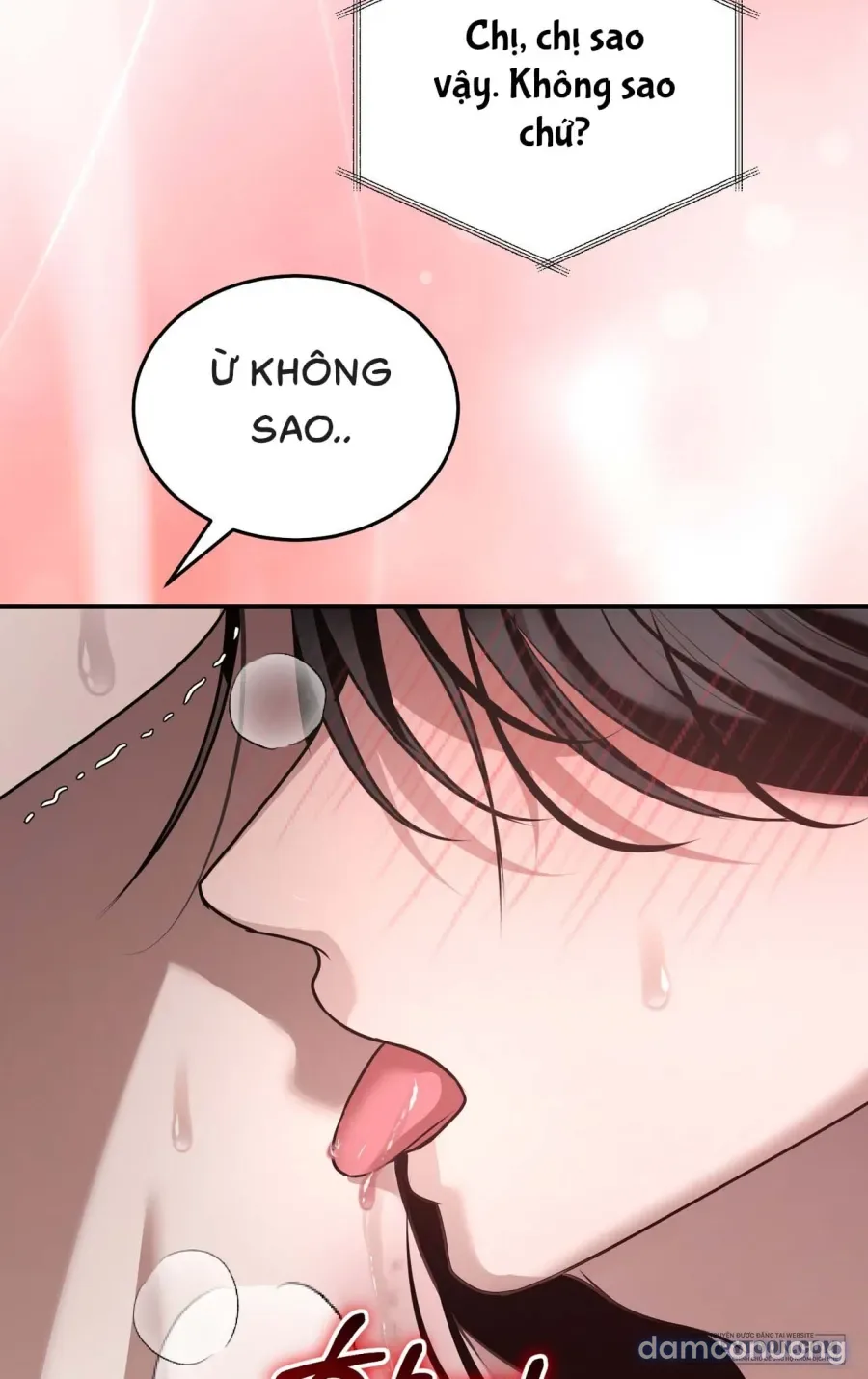 Chó Hoang Mơ Giấc Mơ Săn Mồi 