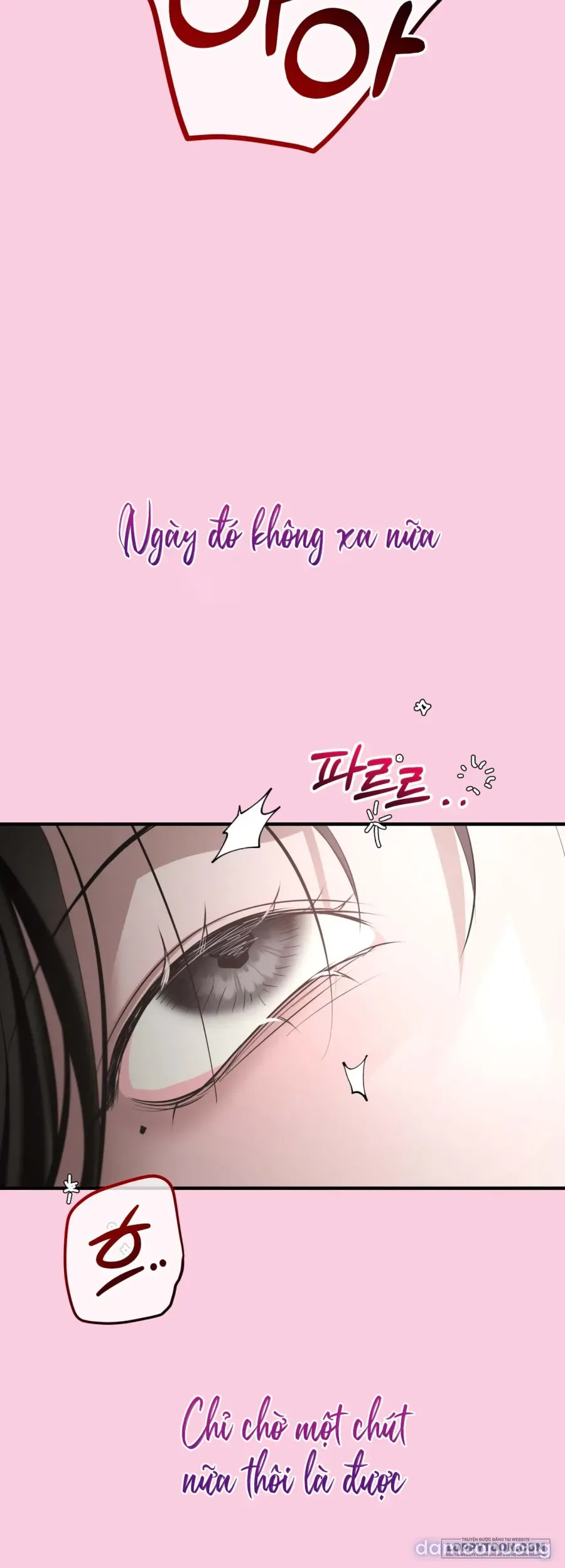 Chó Hoang Mơ Giấc Mơ Săn Mồi 