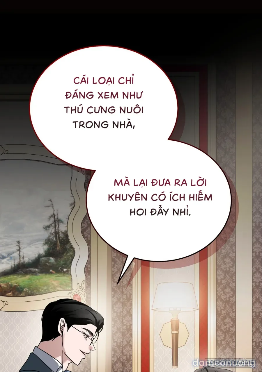 Chó Hoang Mơ Giấc Mơ Săn Mồi 