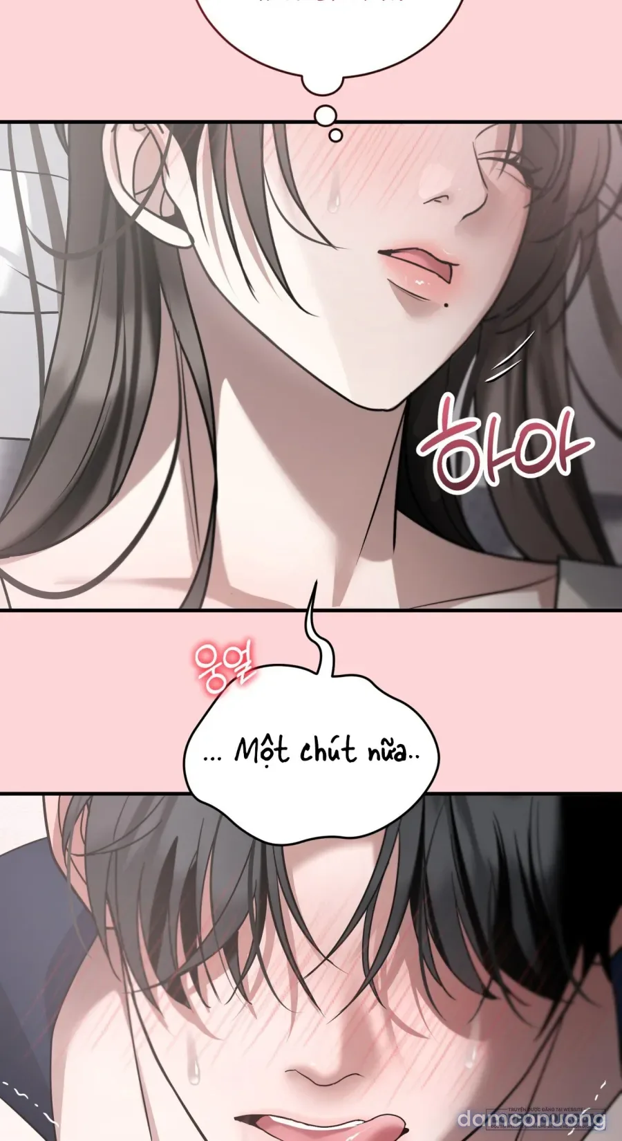Chó Hoang Mơ Giấc Mơ Săn Mồi 