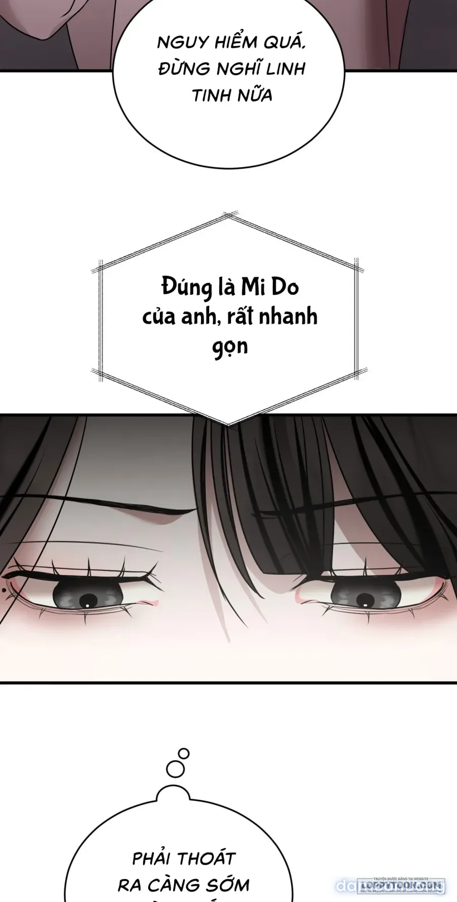 Chó Hoang Mơ Giấc Mơ Săn Mồi 