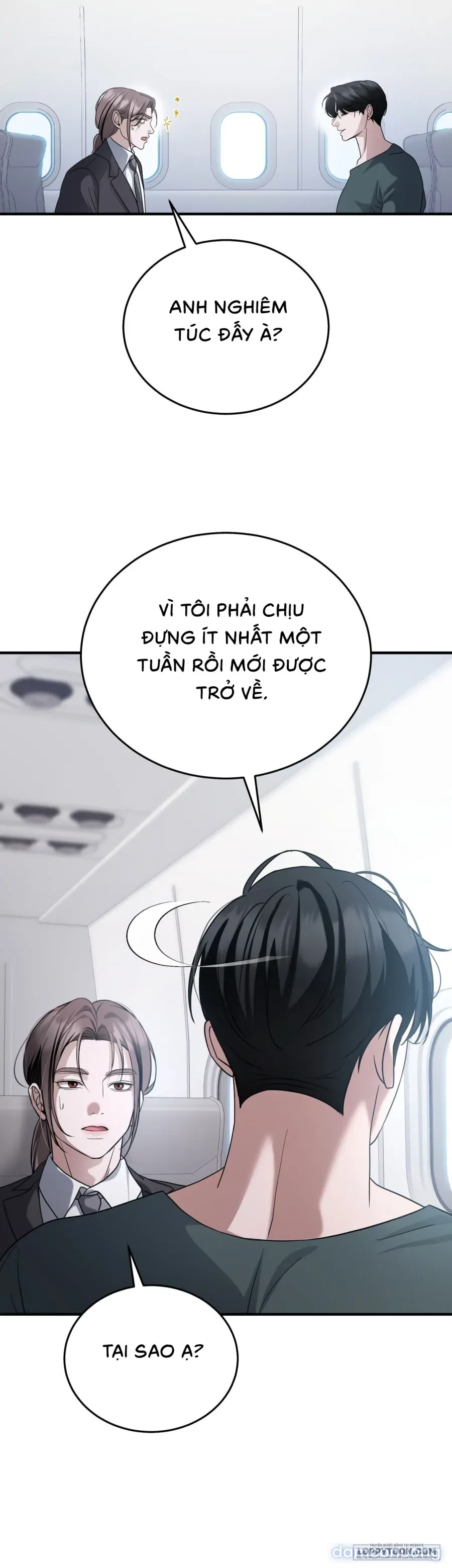 Chó Hoang Mơ Giấc Mơ Săn Mồi 