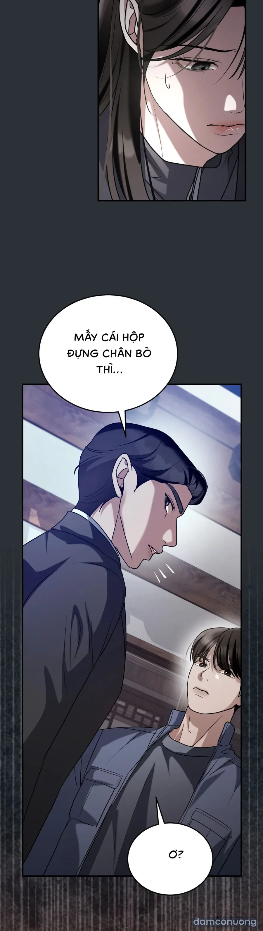 Chó Hoang Mơ Giấc Mơ Săn Mồi 