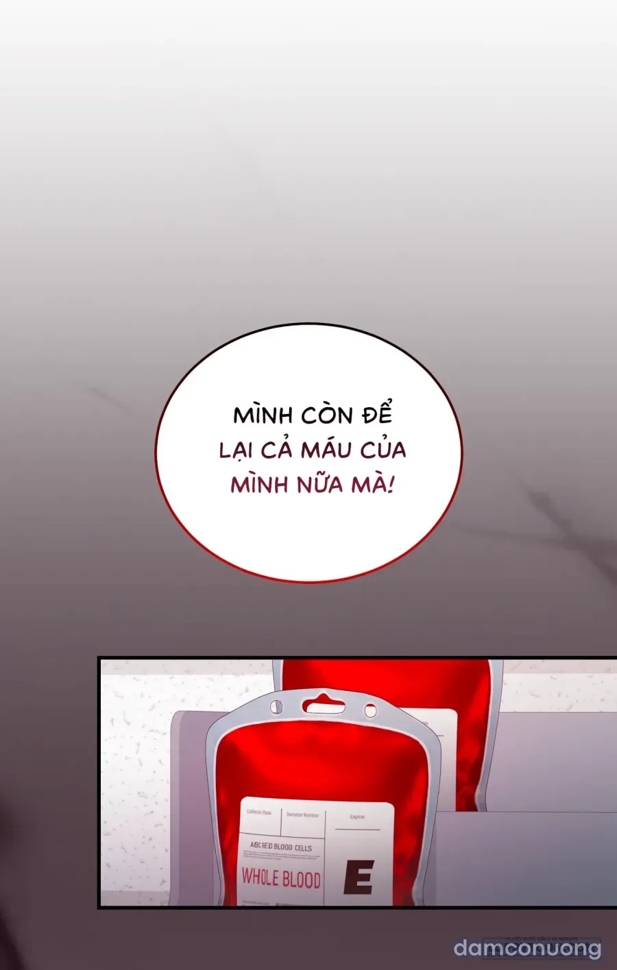 Chó Hoang Mơ Giấc Mơ Săn Mồi 