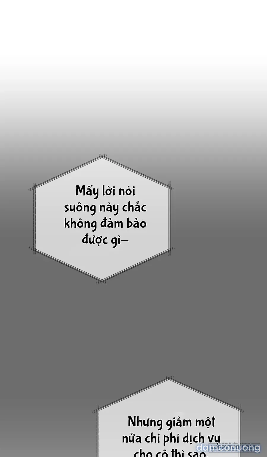 Chó Hoang Mơ Giấc Mơ Săn Mồi 