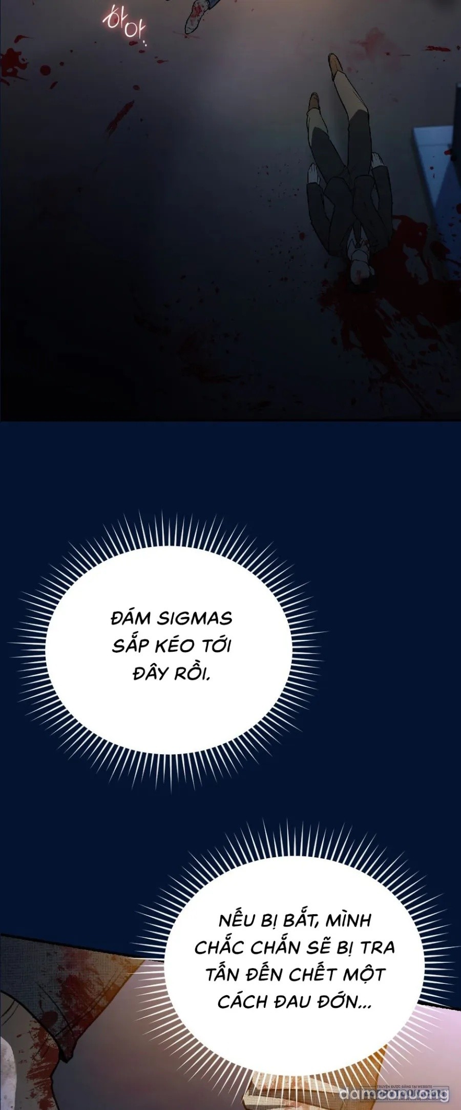 Chó Hoang Mơ Giấc Mơ Săn Mồi 