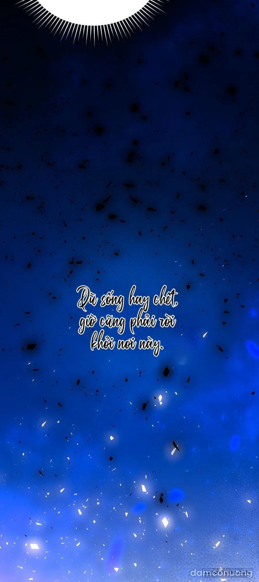 Chó Hoang Mơ Giấc Mơ Săn Mồi 