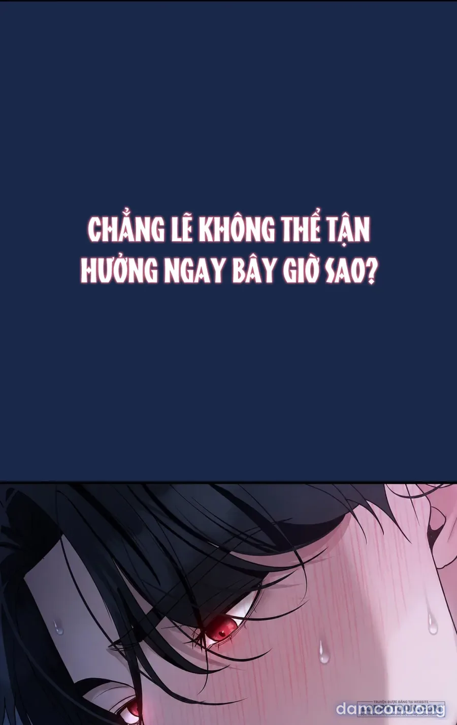 Chó Hoang Mơ Giấc Mơ Săn Mồi 