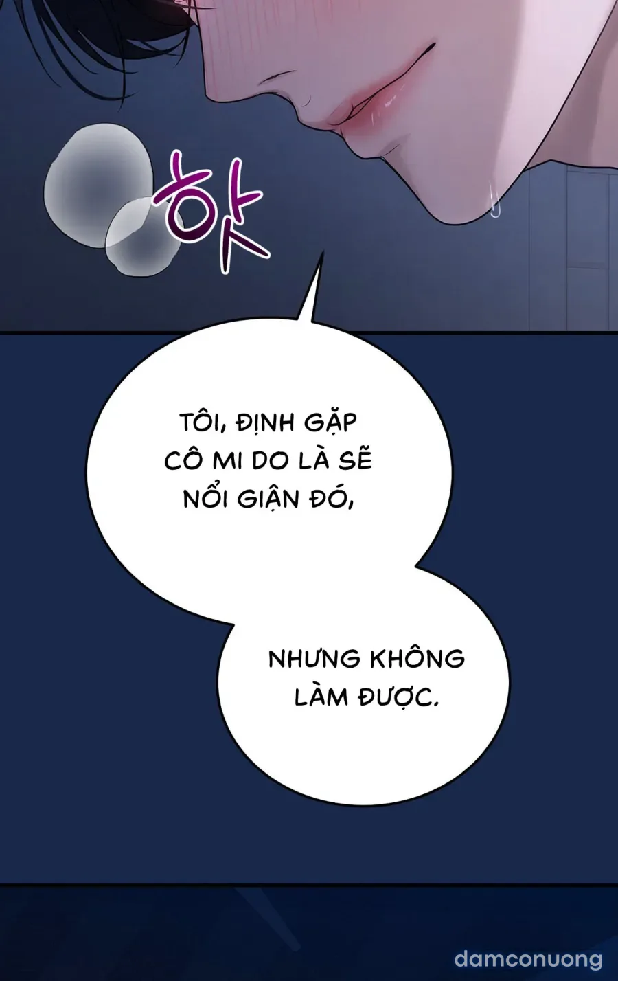 Chó Hoang Mơ Giấc Mơ Săn Mồi 