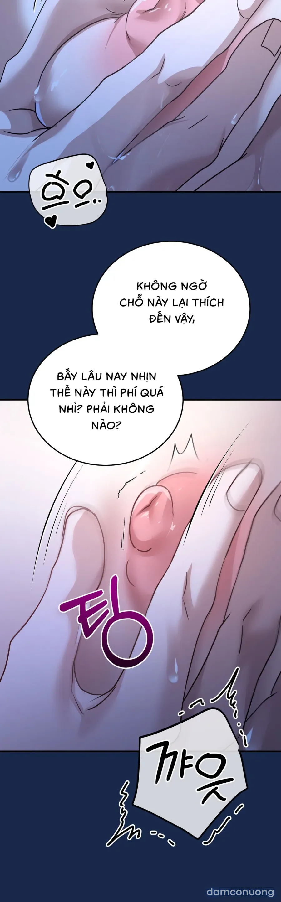 Chó Hoang Mơ Giấc Mơ Săn Mồi 