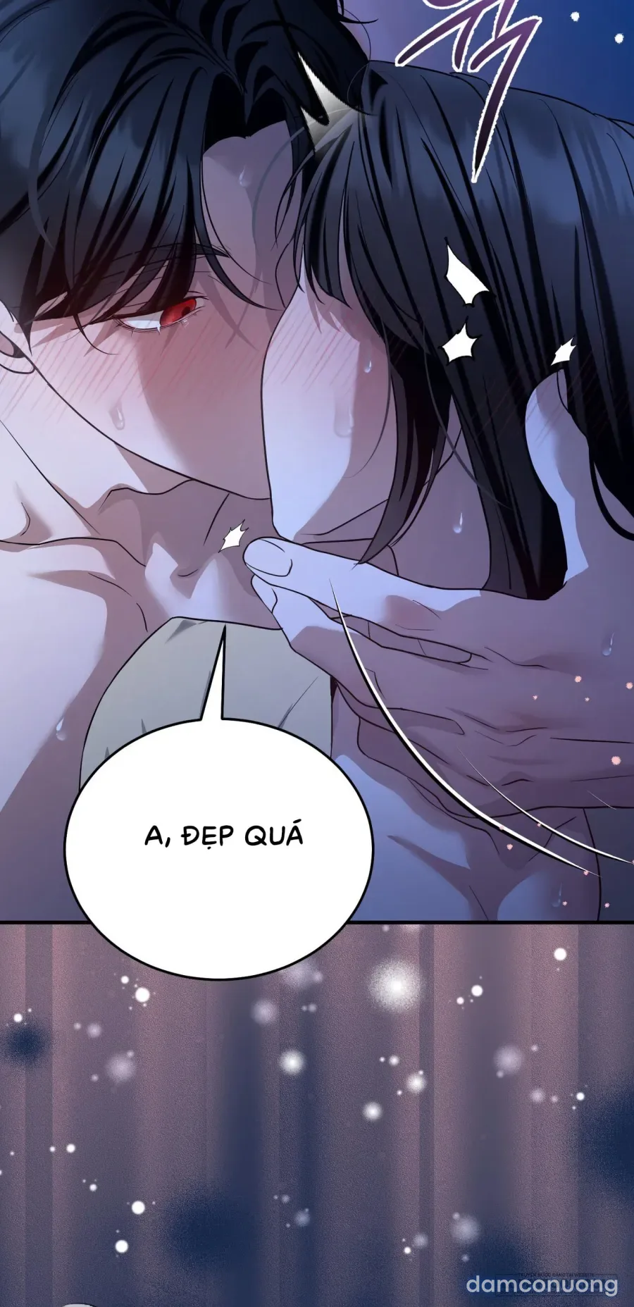 Chó Hoang Mơ Giấc Mơ Săn Mồi 