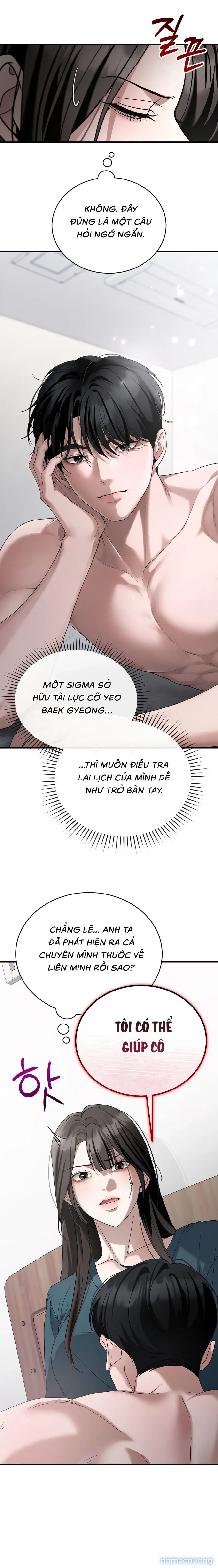 Chó Hoang Mơ Giấc Mơ Săn Mồi 