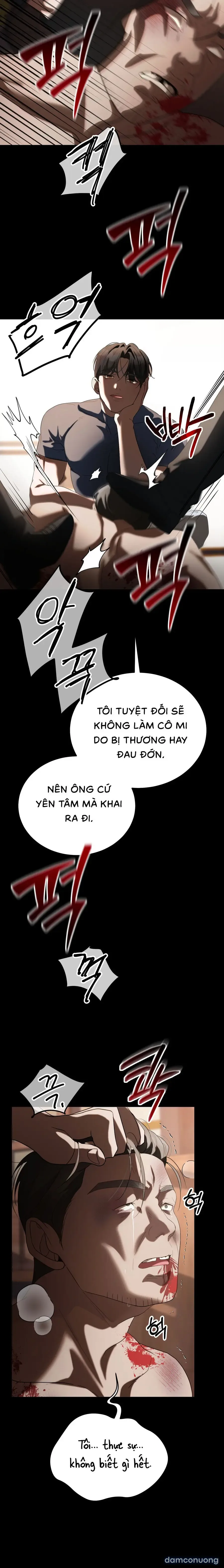 Chó Hoang Mơ Giấc Mơ Săn Mồi 