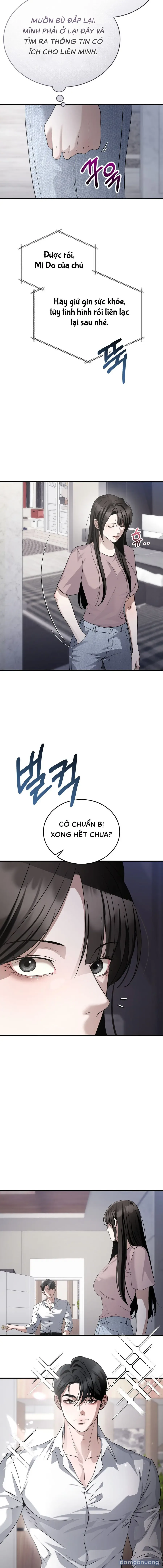 Chó Hoang Mơ Giấc Mơ Săn Mồi 