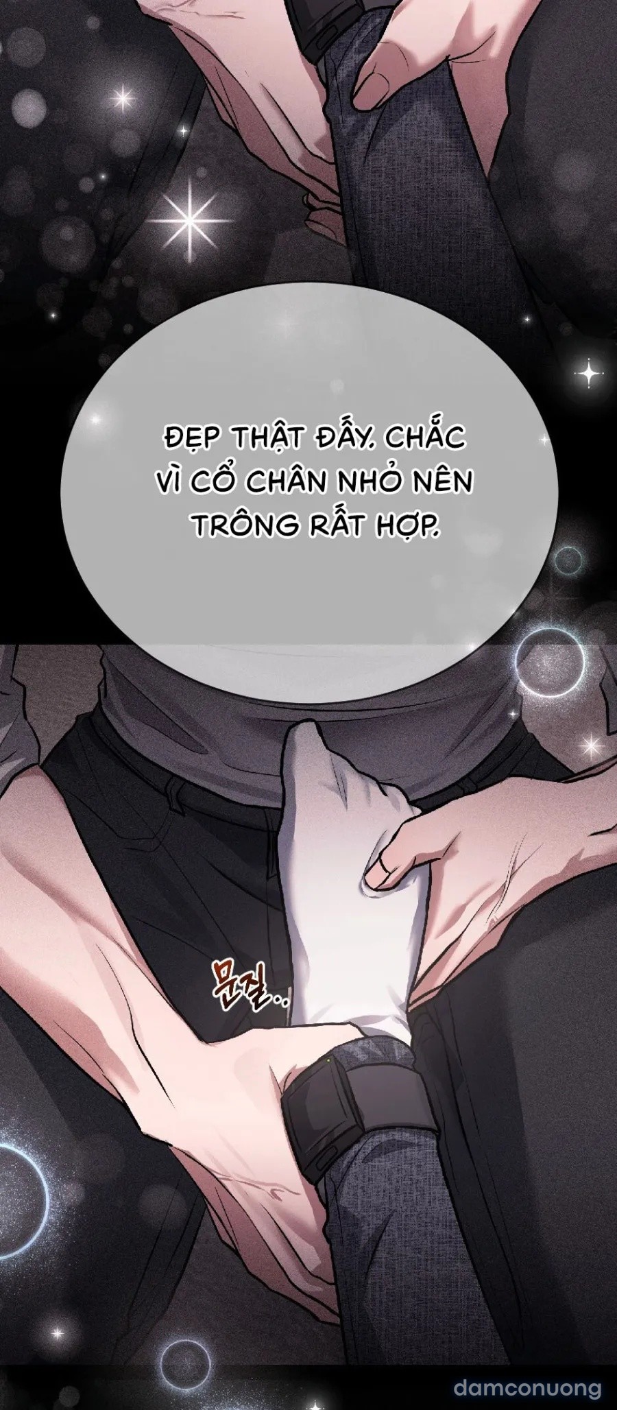 Chó Hoang Mơ Giấc Mơ Săn Mồi 