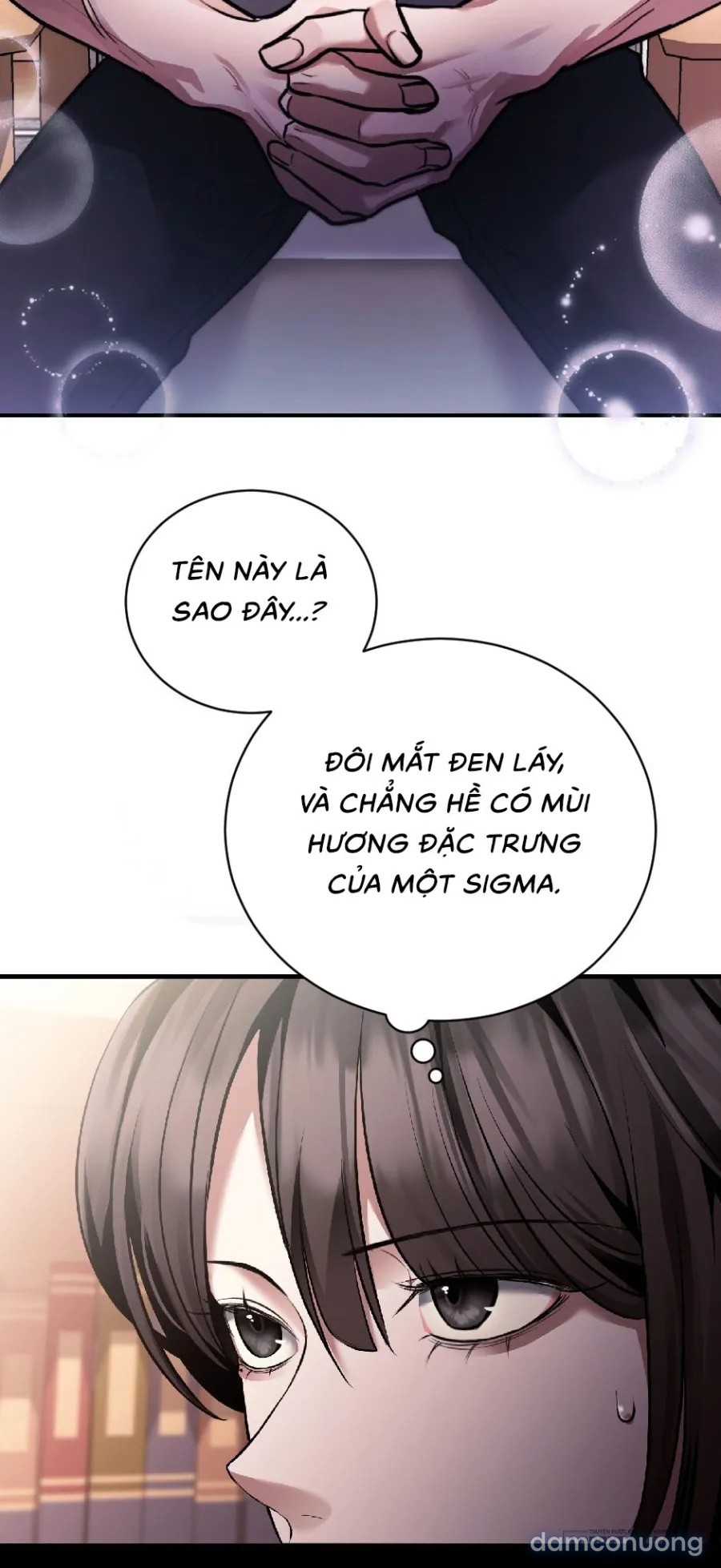 Chó Hoang Mơ Giấc Mơ Săn Mồi 