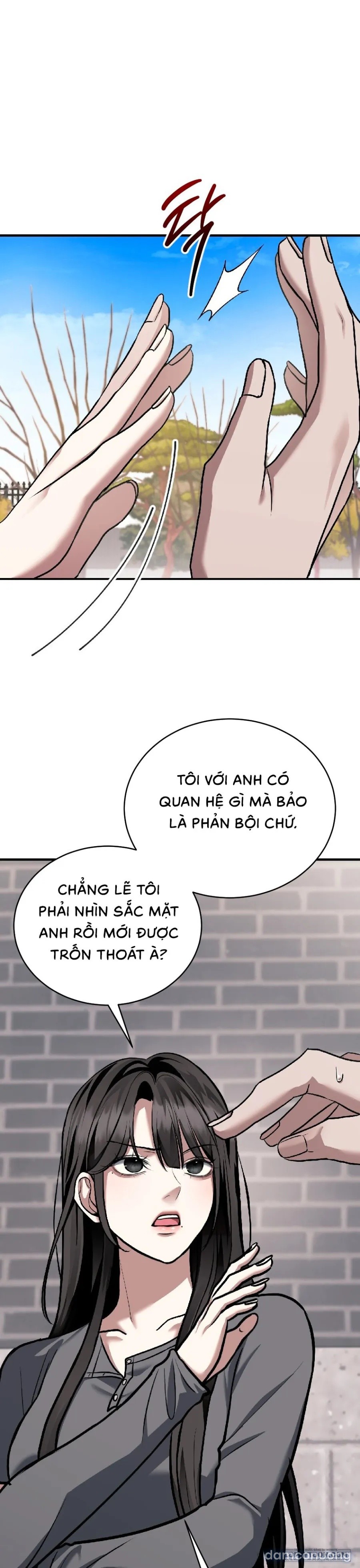 Chó Hoang Mơ Giấc Mơ Săn Mồi 