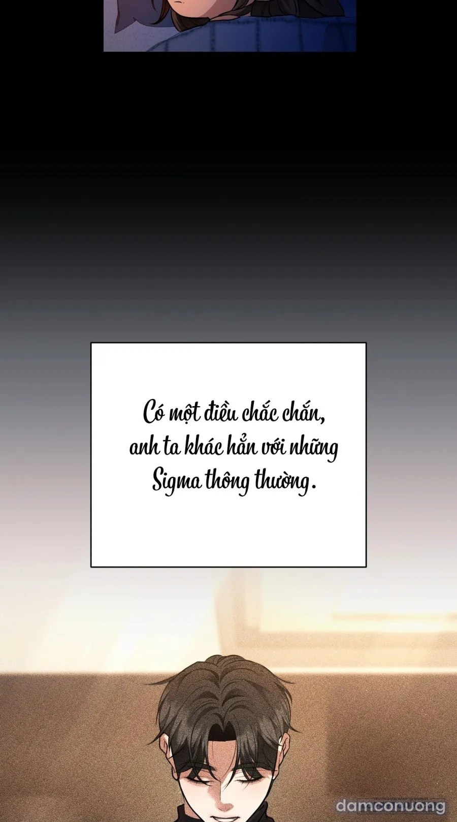 Chó Hoang Mơ Giấc Mơ Săn Mồi 