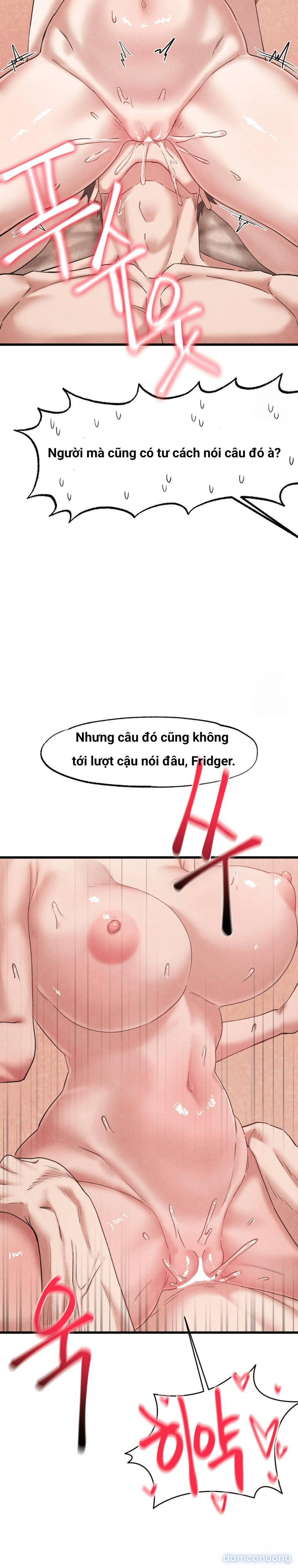 Viện Nghiên Cứu Tình Dục Học Toàn Cầu V2 