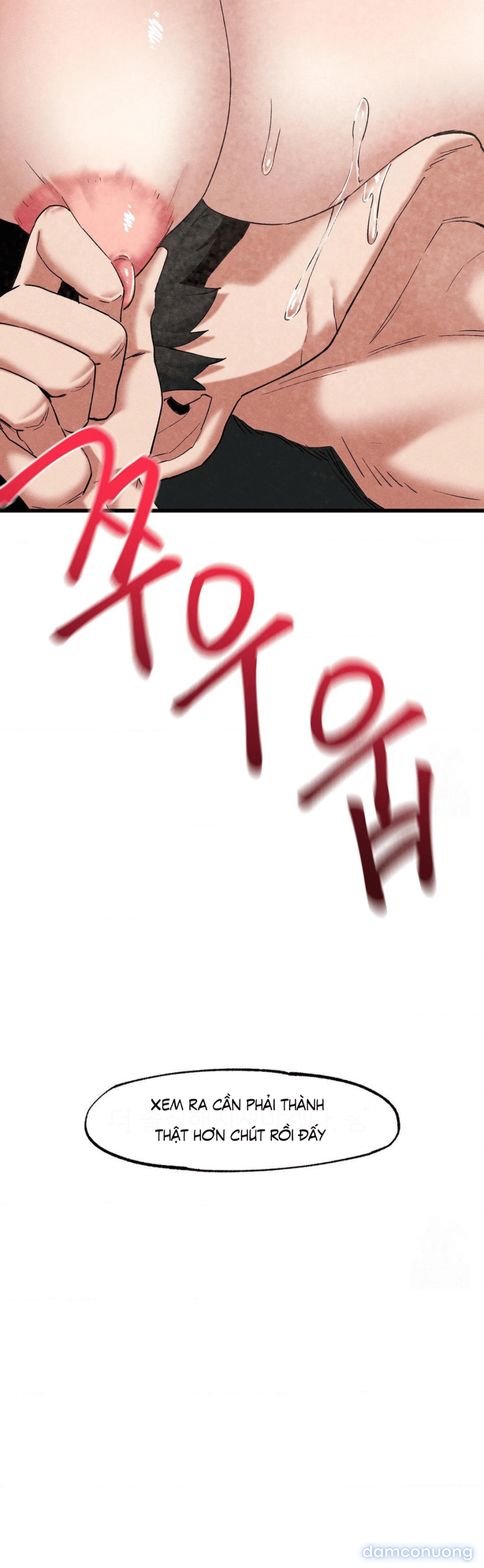 Viện Nghiên Cứu Tình Dục Học Toàn Cầu V2 
