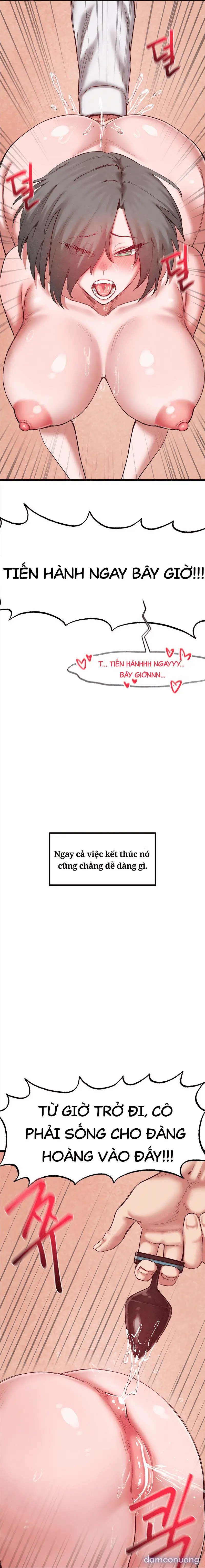 Viện Nghiên Cứu Tình Dục Học Toàn Cầu V2 