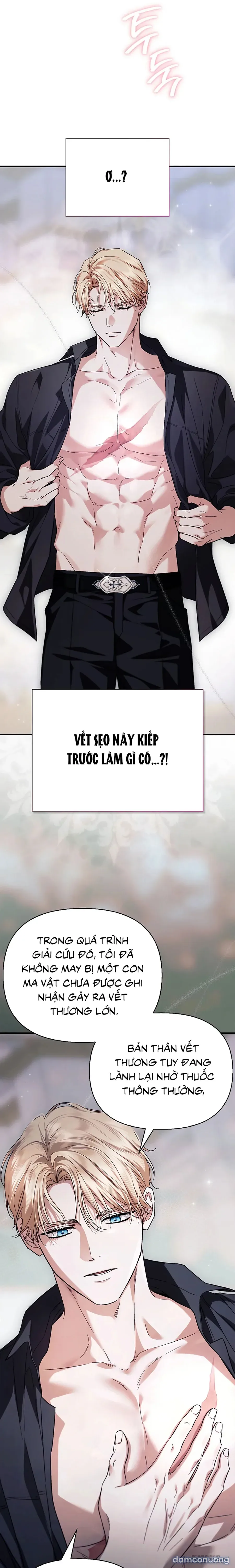 Nhưng Rõ Ràng Chồng Tôi Là Thánh Kỵ Sĩ Mà? 