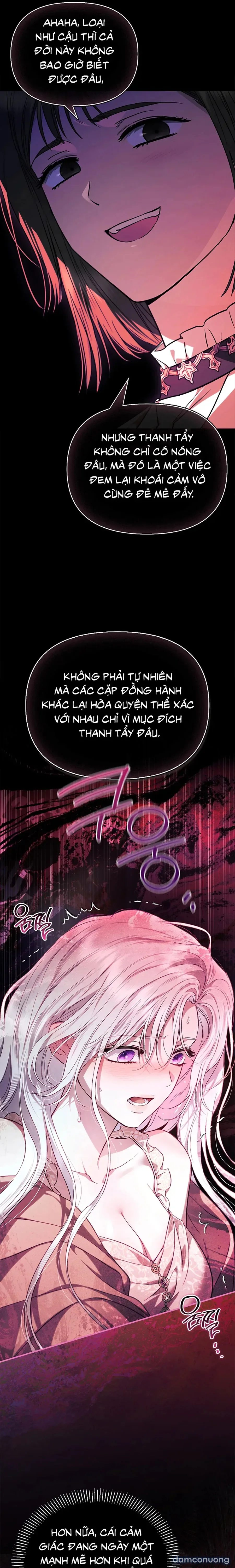 Nhưng Rõ Ràng Chồng Tôi Là Thánh Kỵ Sĩ Mà? 