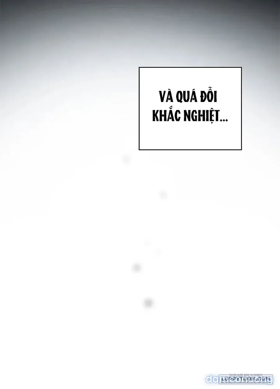 Nhưng Rõ Ràng Chồng Tôi Là Thánh Kỵ Sĩ Mà? 