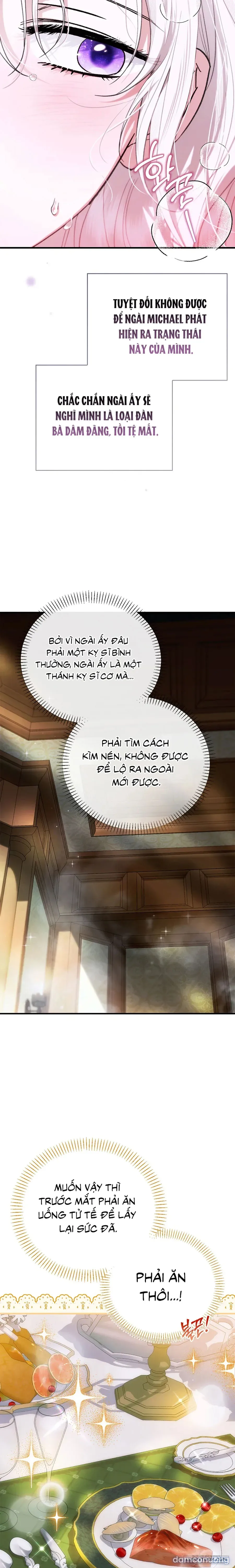 Nhưng Rõ Ràng Chồng Tôi Là Thánh Kỵ Sĩ Mà? 