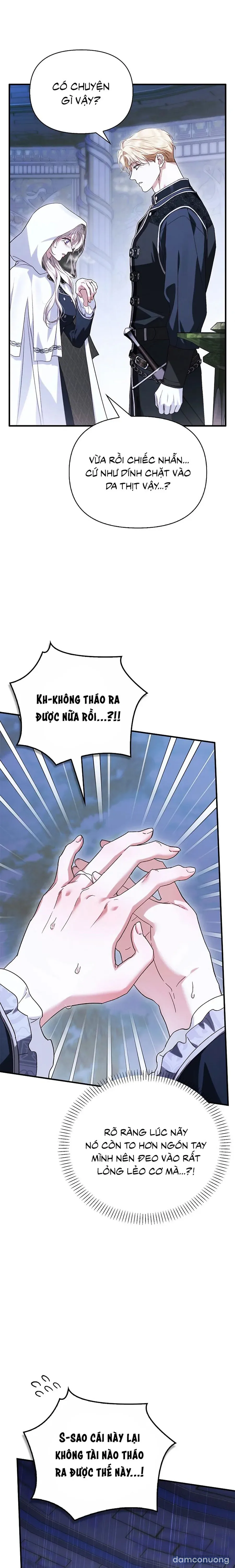 Nhưng Rõ Ràng Chồng Tôi Là Thánh Kỵ Sĩ Mà? 