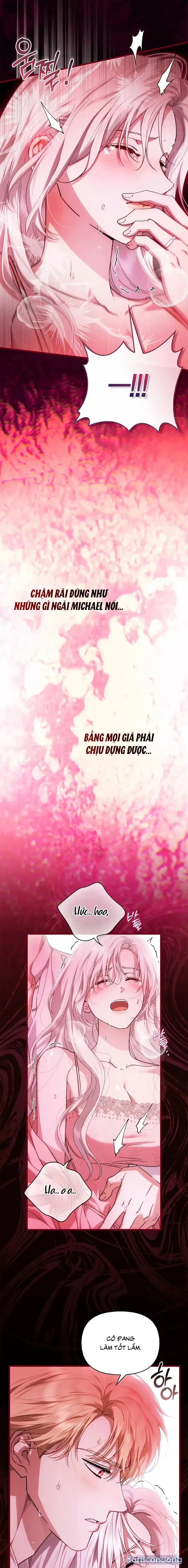 Nhưng Rõ Ràng Chồng Tôi Là Thánh Kỵ Sĩ Mà? 