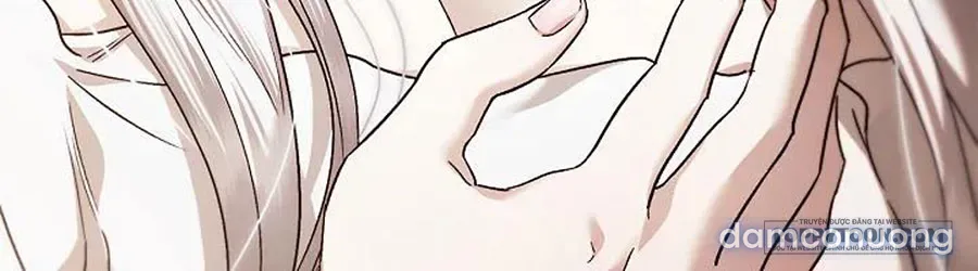 Nhưng Rõ Ràng Chồng Tôi Là Thánh Kỵ Sĩ Mà? 