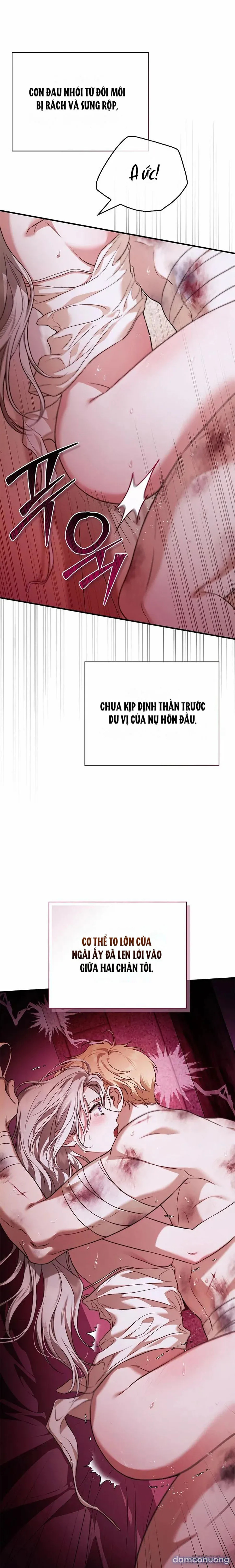 Nhưng Rõ Ràng Chồng Tôi Là Thánh Kỵ Sĩ Mà? 