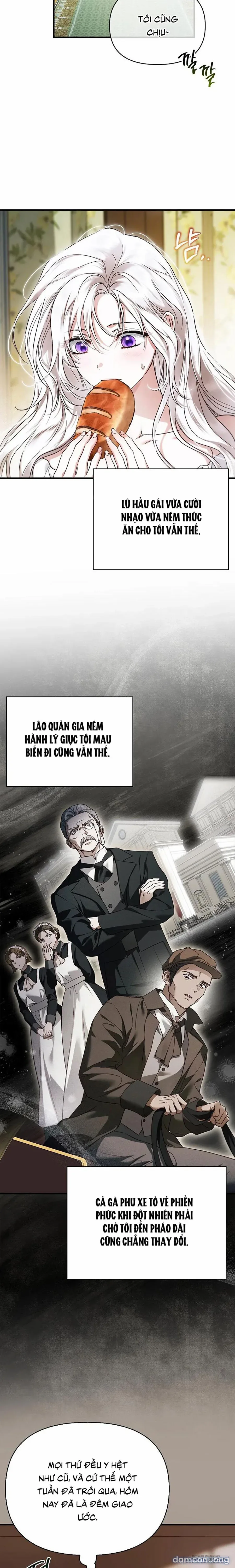 Nhưng Rõ Ràng Chồng Tôi Là Thánh Kỵ Sĩ Mà? 