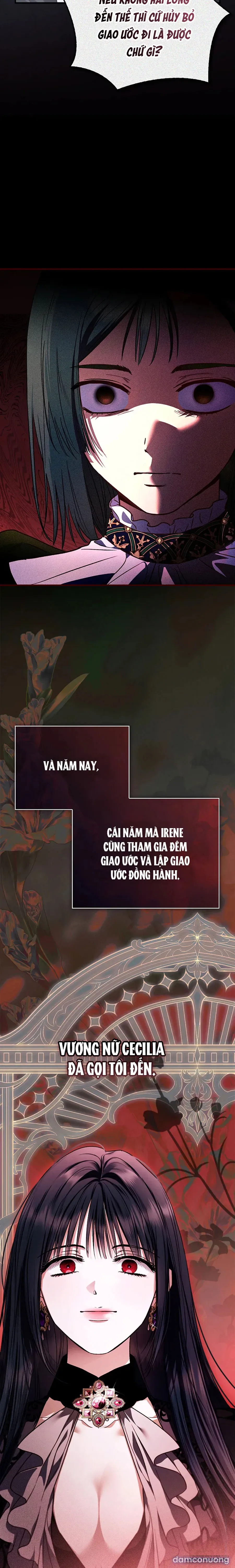 Nhưng Rõ Ràng Chồng Tôi Là Thánh Kỵ Sĩ Mà? 