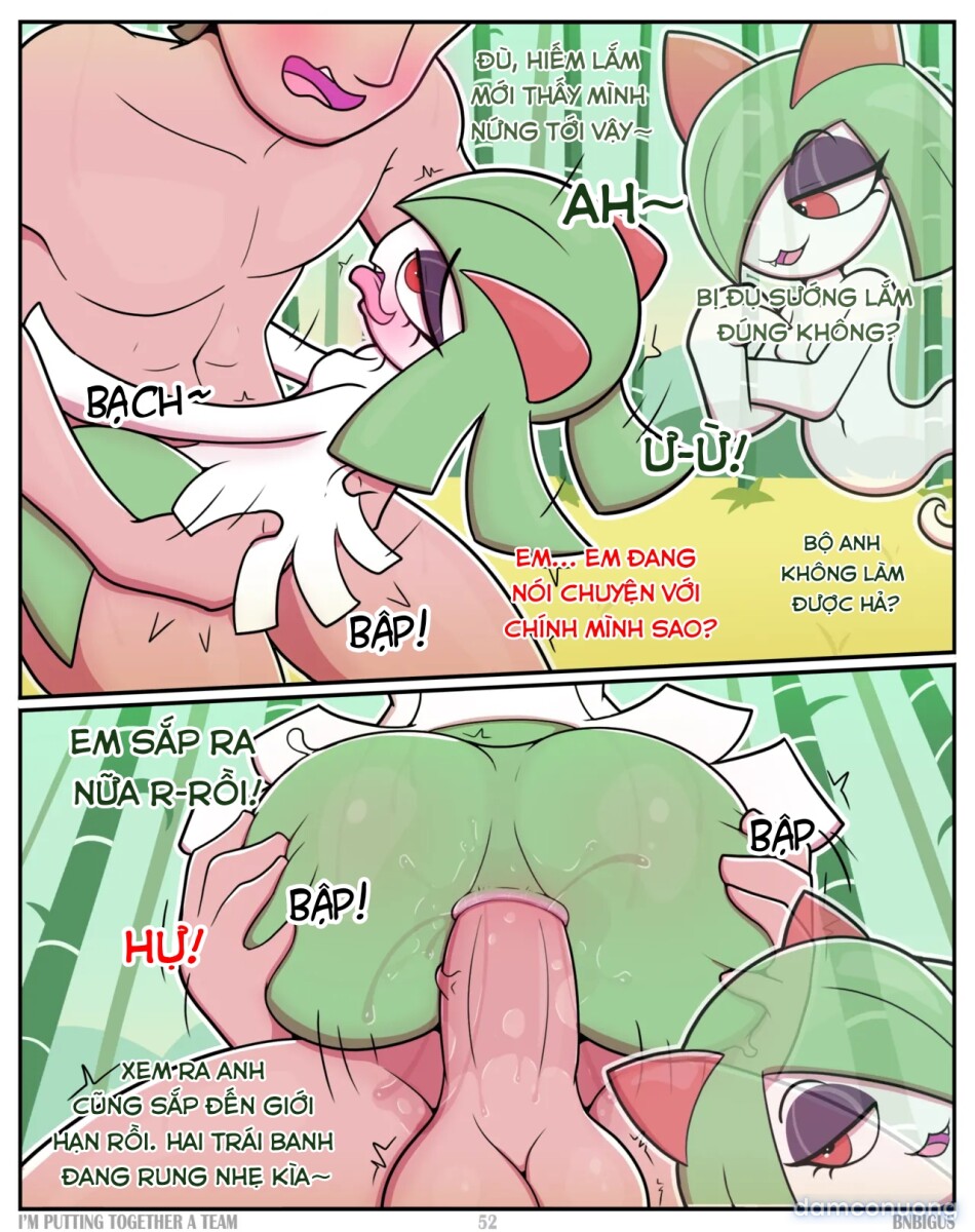 Tôi thành lập một đội pokemon máu mặc nhất RL34 