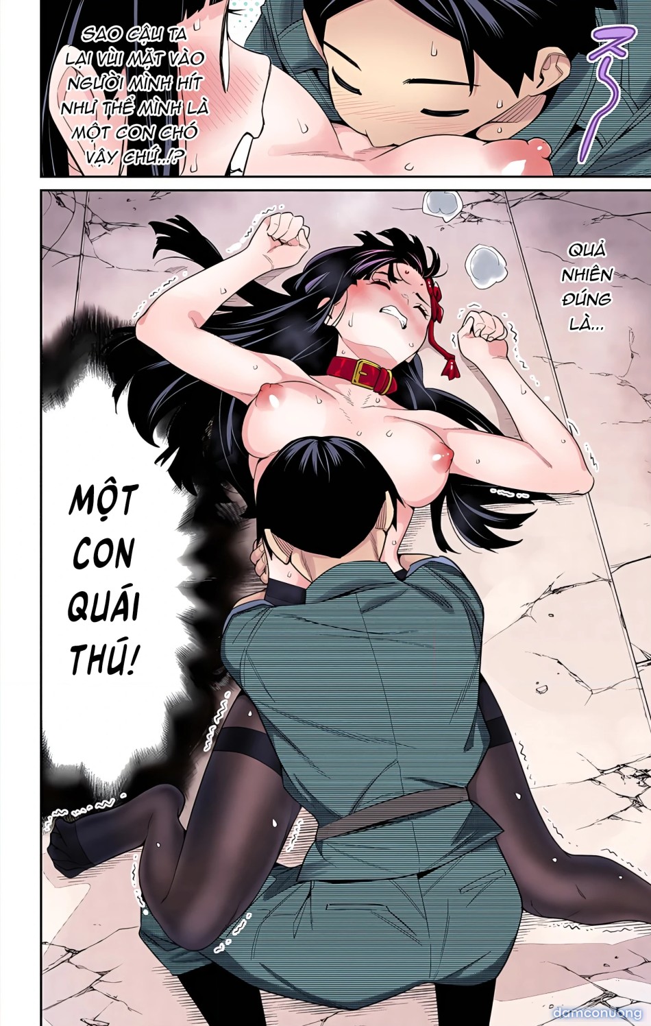 Nô lệ của đội tinh nhuệ Ma Đô 