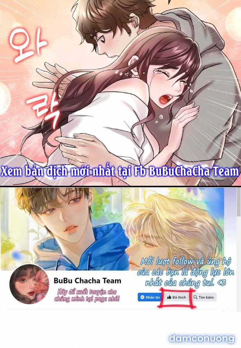 Chị Dâu Cô Đơn 