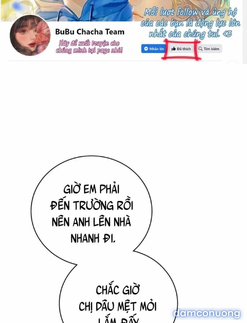 Chị Dâu Cô Đơn 