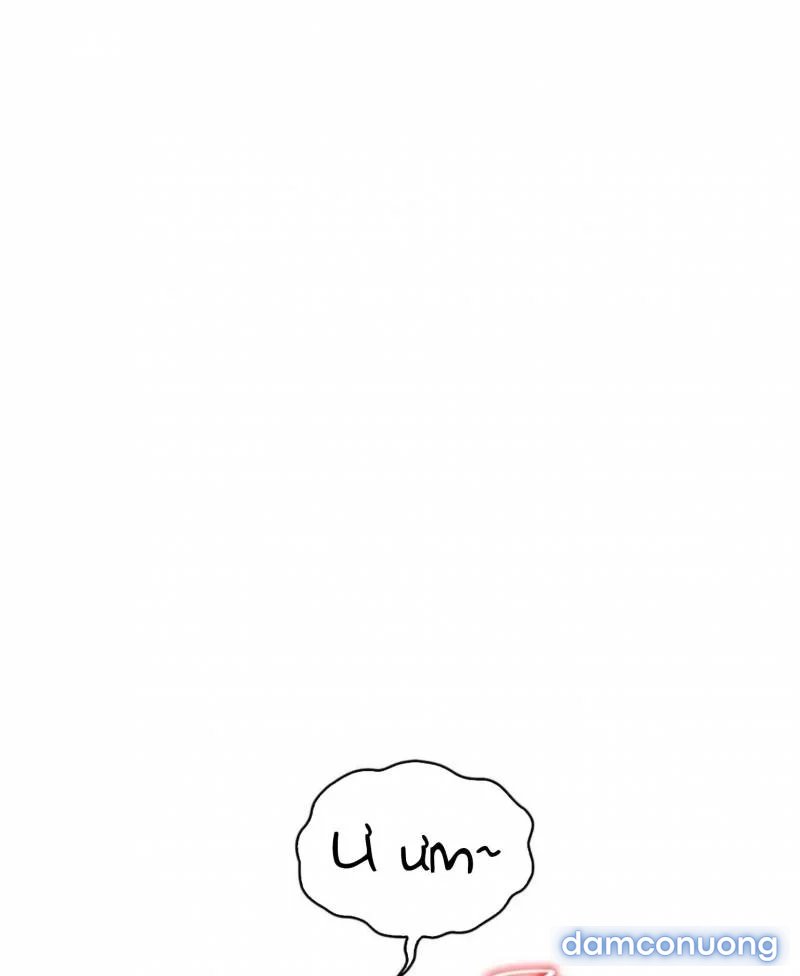 Chị Dâu Cô Đơn 